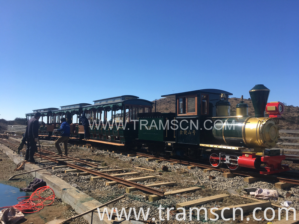 sightseeing train on mountain